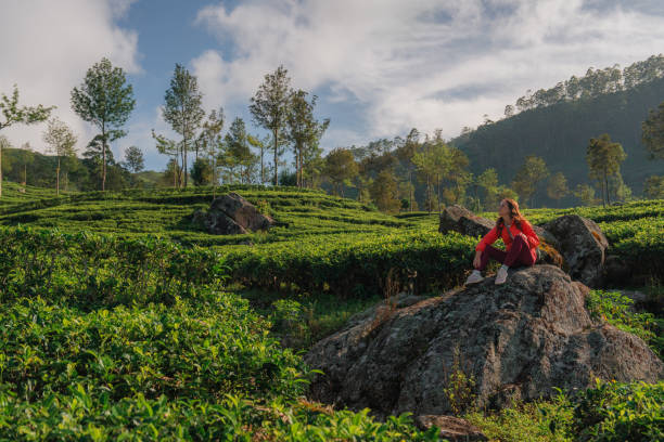 Woman enjoying view of tea plantation in Ella on Sri Lanka