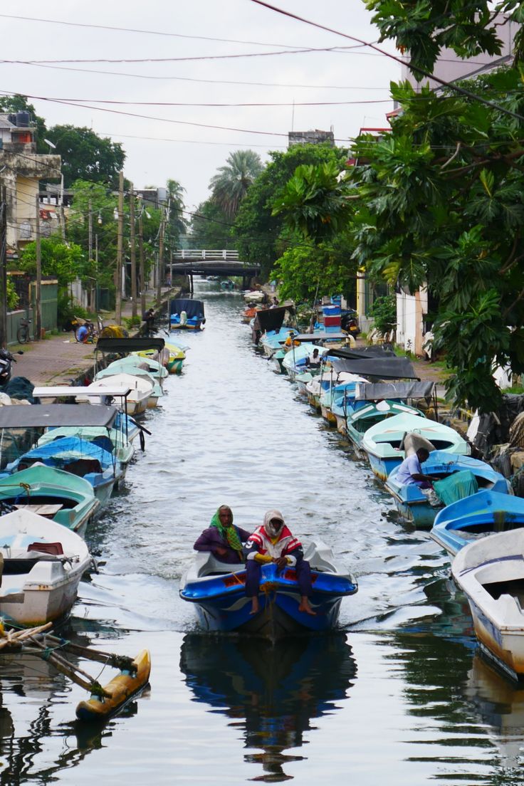 Dutch Canal (Negombo)