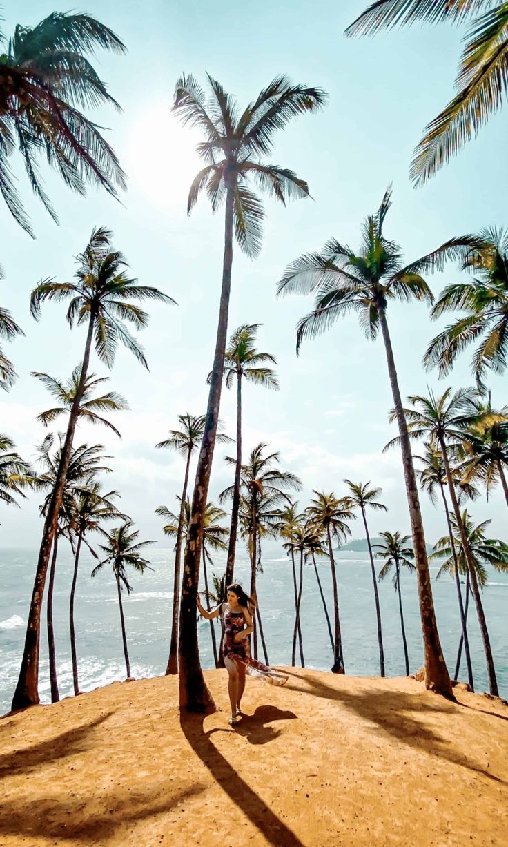 One week Sri Lanka itinerary_ 7 days road trip in Sri Lanka - WhisperWanderlust_com
