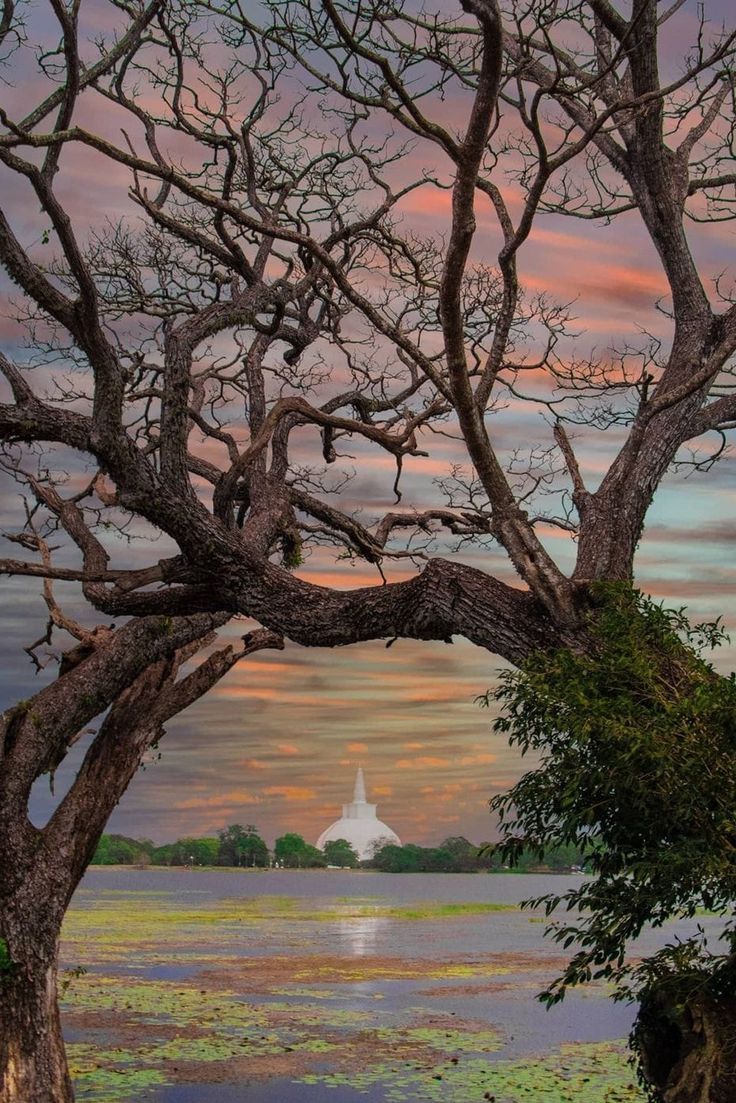Ruwanweliseya - Anuradhapura
