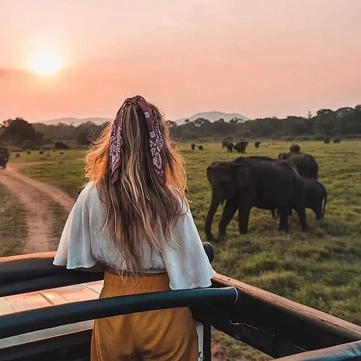 Sri Lanka Safari Tours - Wildlife Tours in Sri Lanka