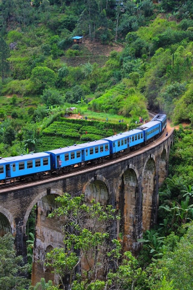 Train Journey From Nuwara Eliya to Ella, Sri Lanka _ Roy Tells Tales
